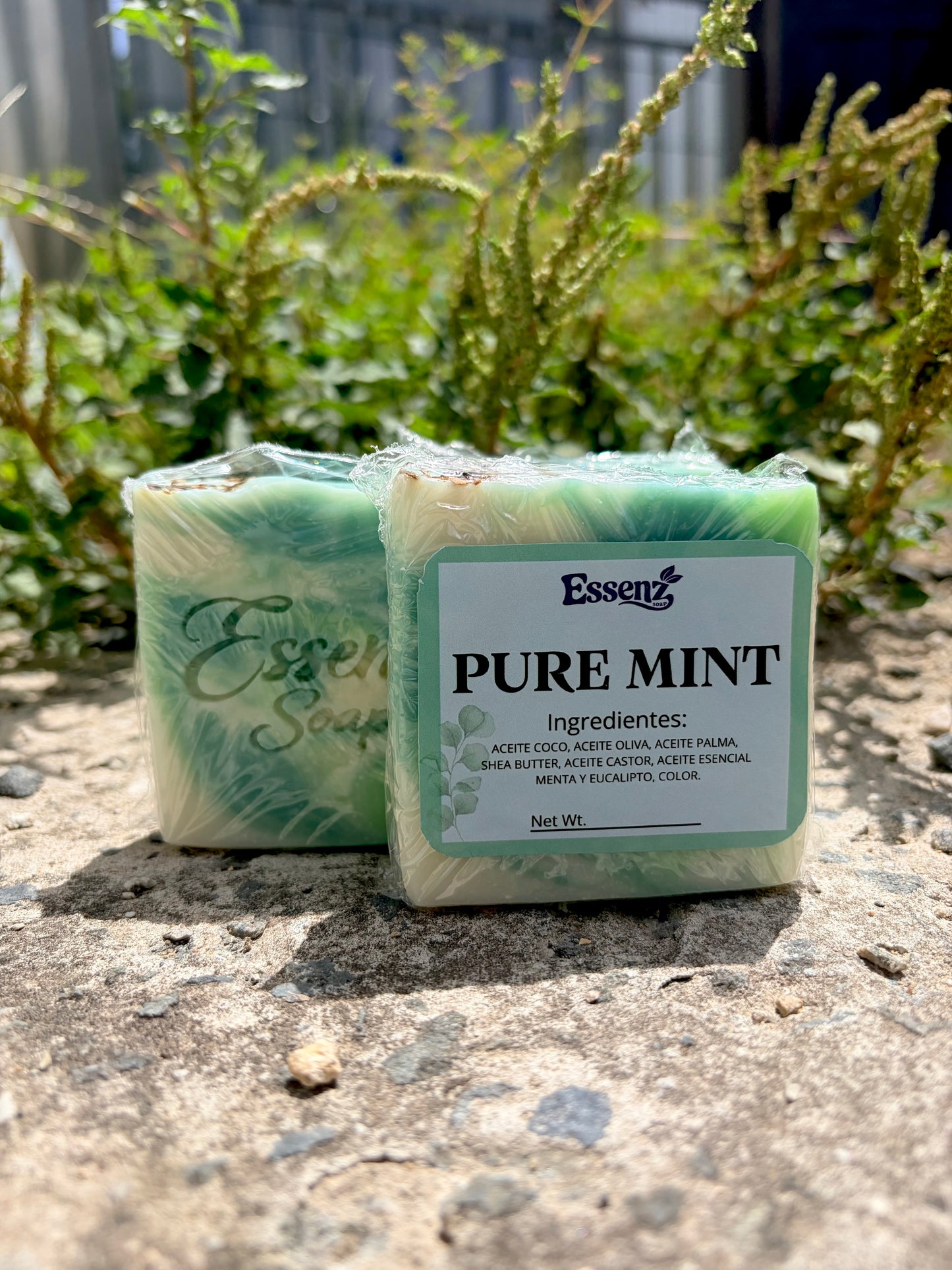 Pure Mint