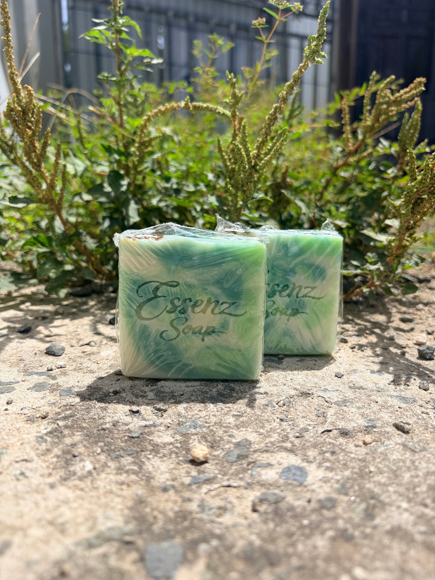 Pure Mint